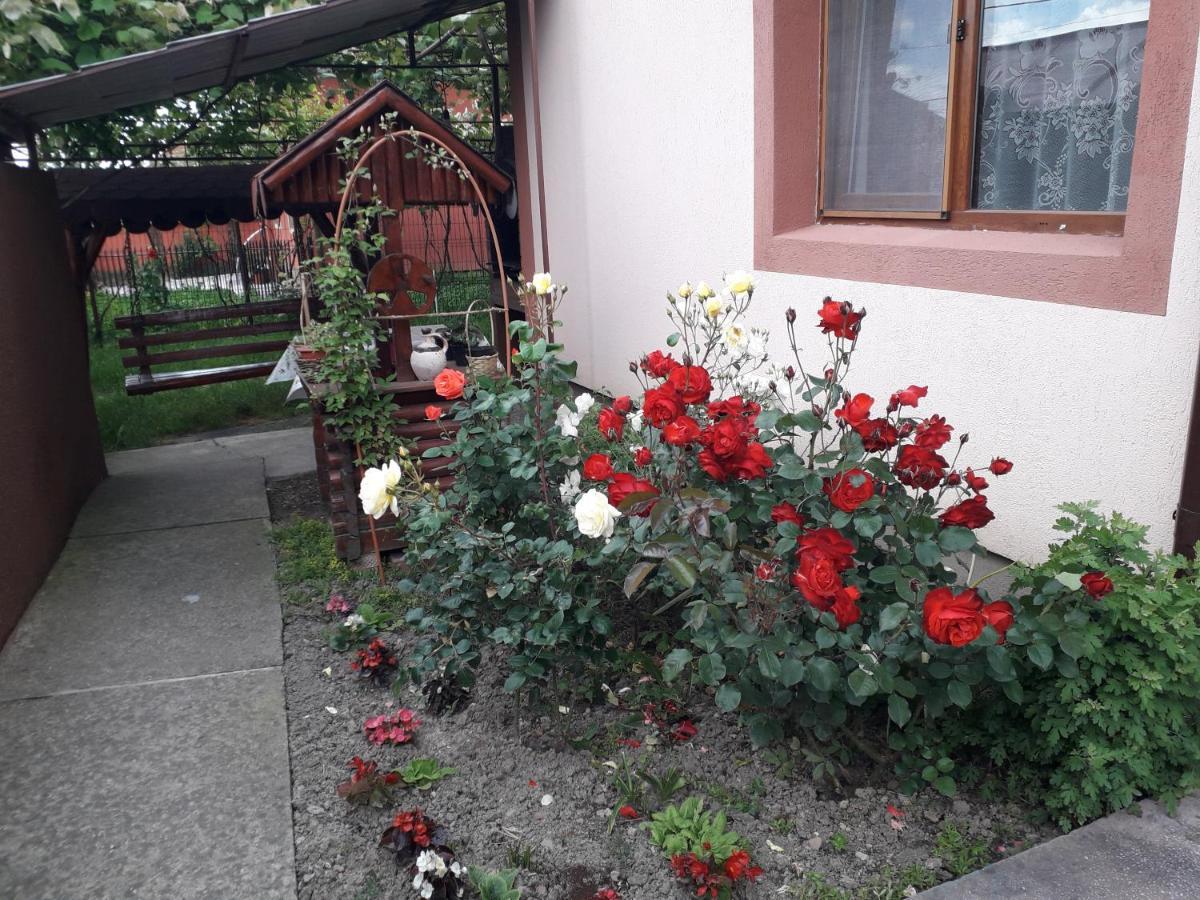 Pensiunea Ileana Novaci-Străini Exteriör bild