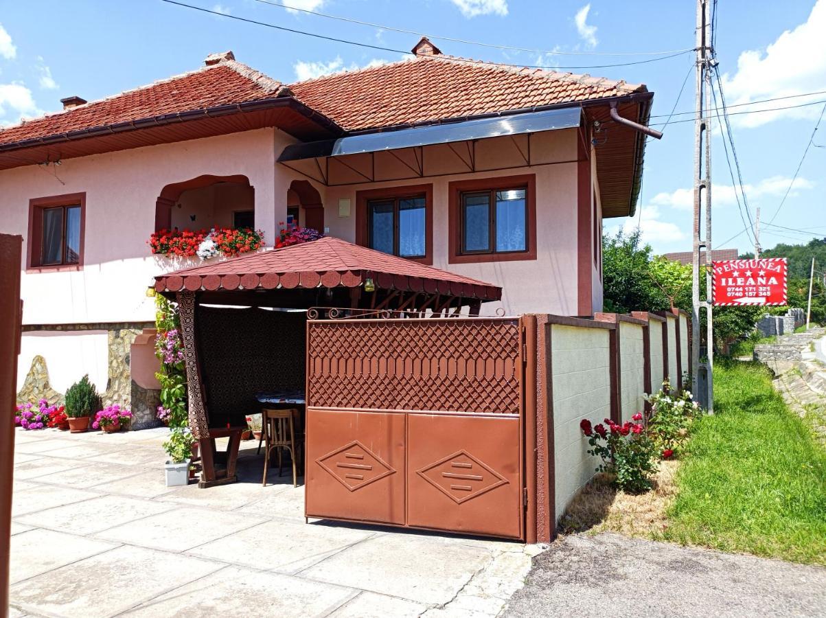 Pensiunea Ileana Novaci-Străini Exteriör bild