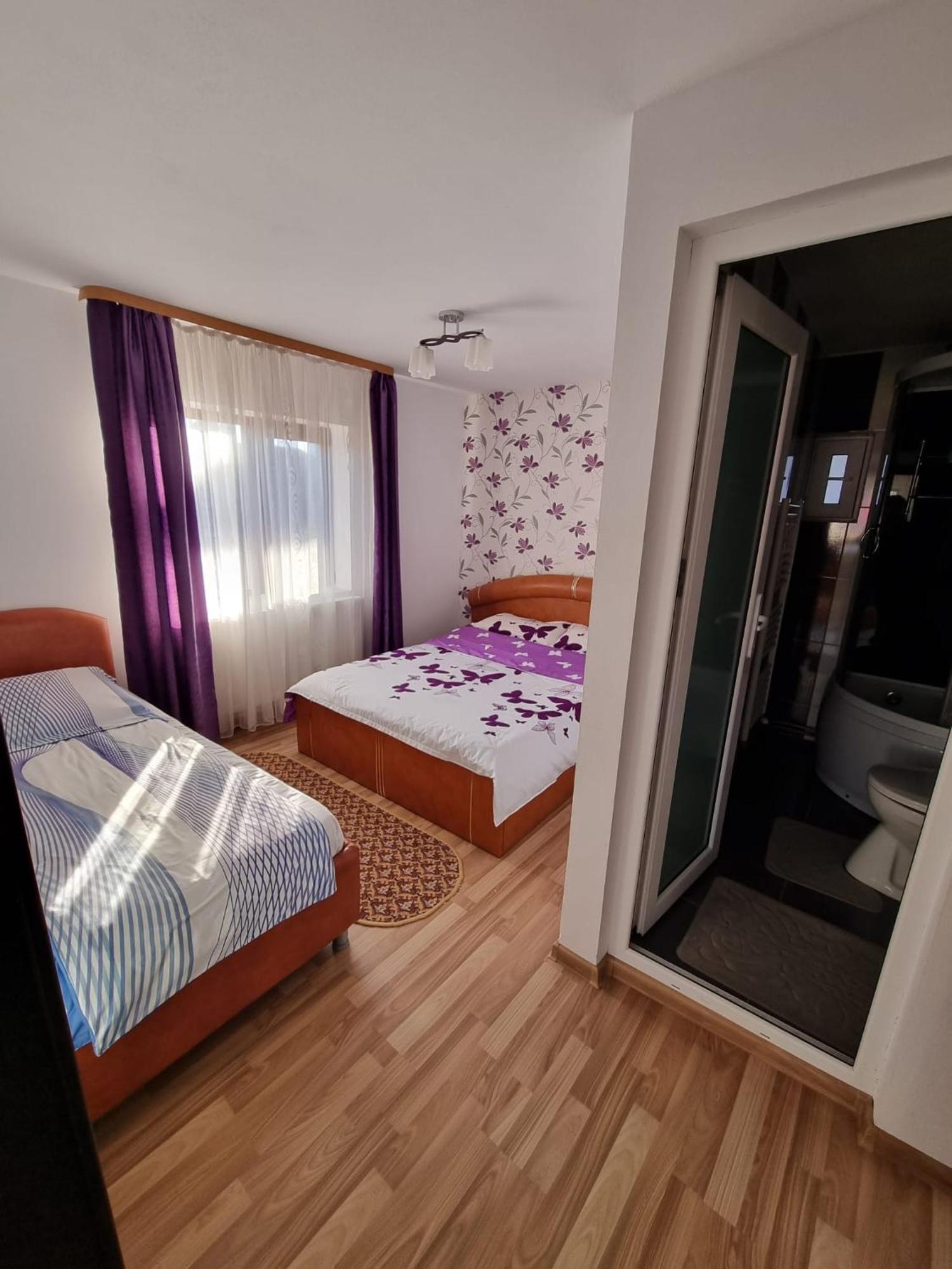 Pensiunea Ileana Novaci-Străini Exteriör bild