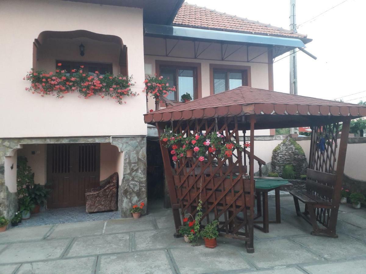 Pensiunea Ileana Novaci-Străini Exteriör bild