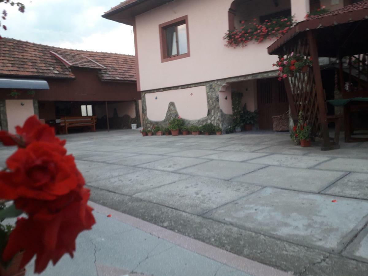Pensiunea Ileana Novaci-Străini Exteriör bild