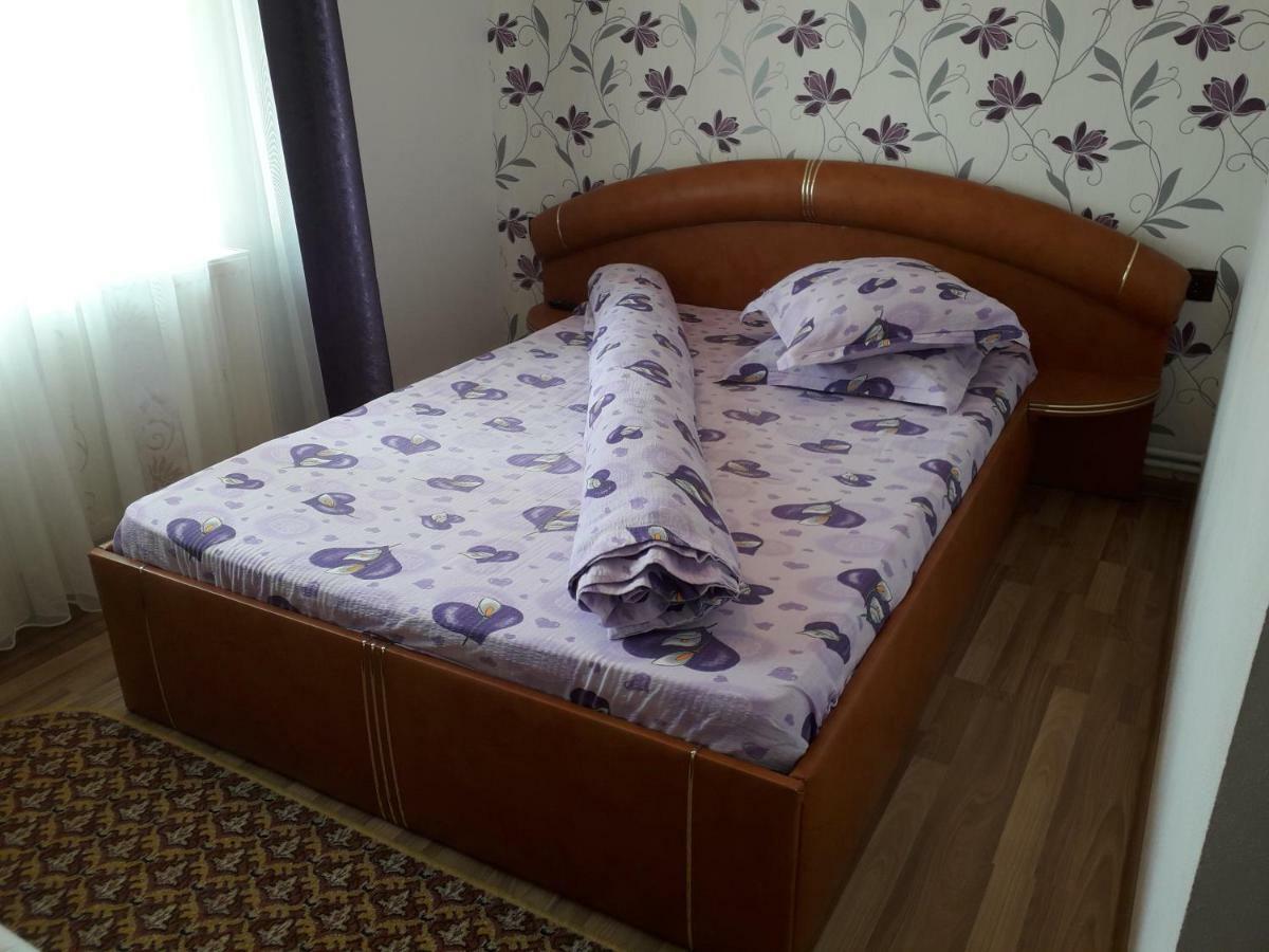 Pensiunea Ileana Novaci-Străini Exteriör bild